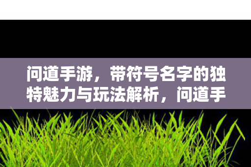 带符号名字的独特魅力与玩法解析图片