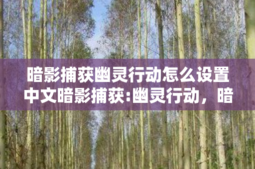暗影捕获幽灵行动怎么设置中文暗影捕获:幽灵行动,暗影捕获,幽灵行动设置中文指南 暗影捕获幽灵行动怎么设置中文暗影捕获:幽灵行动,暗影捕获,幽灵行动设置中文指南