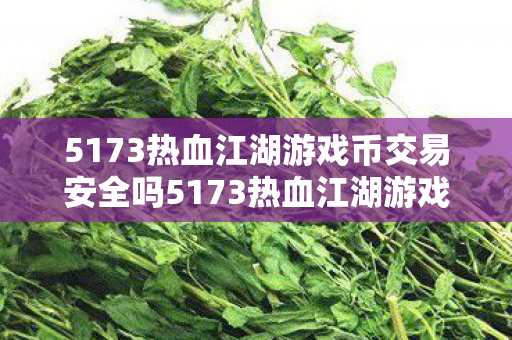 5173热血江湖游戏币交易安全吗5173热血江湖游戏币交易，安全、便捷的游戏经济新生态，5173打造热血江湖游戏币交易安全、便捷新生态