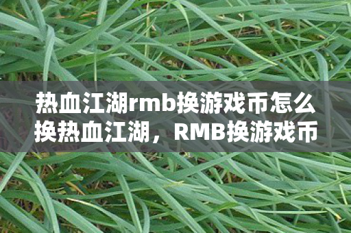 热血江湖rmb换游戏币怎么换热血江湖，RMB换游戏币的官方指南，热血江湖，官方指南教你如何换游戏币