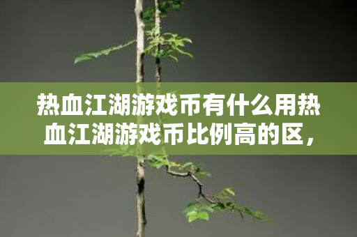 热血江湖游戏币有什么用热血江湖游戏币比例高的区，探索高价值游戏币的神秘世界，热血江湖，高比例游戏币区的探索与价值揭秘