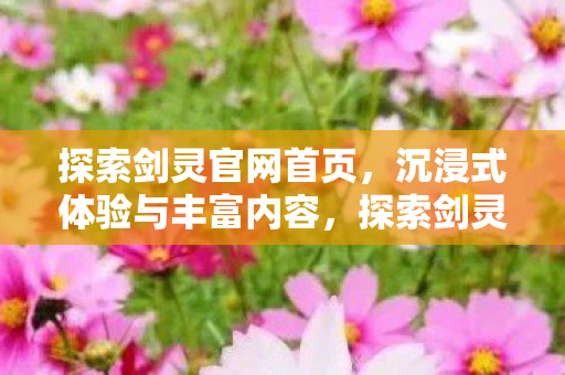 沉浸式体验与丰富内容图片