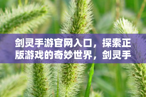 探索正版游戏的奇妙世界图片