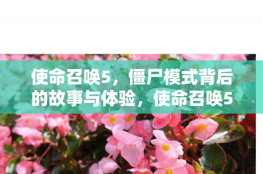 使命召唤5，僵尸模式背后的故事与体验，使命召唤5僵尸模式，背后的故事与独特体验