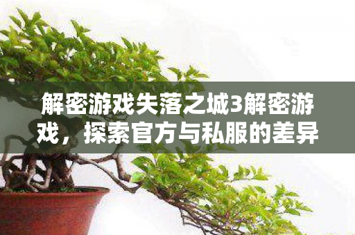 解密游戏失落之城3解密游戏，探索官方与私服的差异与影响，解密游戏失落之城3，官方与私服差异与影响解析