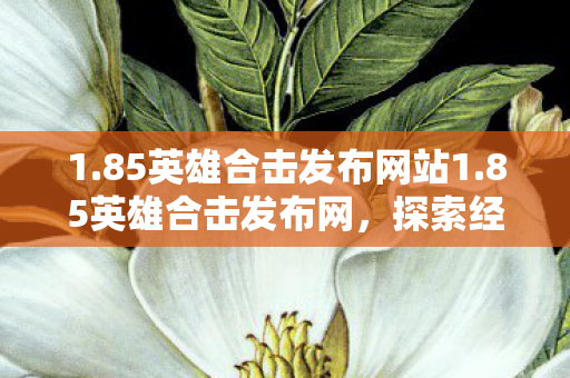 1.85英雄合击发布网站1.85英雄合击发布网，探索经典游戏的全新体验，85英雄合击发布网，探索经典游戏的全新体验