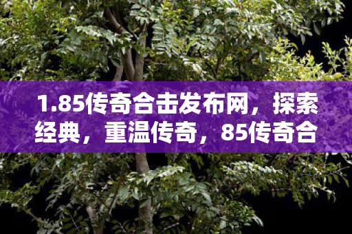 1.85传奇合击发布网，探索经典，重温传奇，85传奇合击发布网，重温经典传奇，探索传奇世界