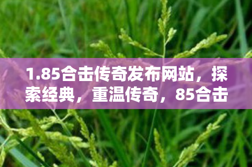 1.85合击传奇发布网站，探索经典，重温传奇，85合击传奇发布网站，重温经典传奇，探索传奇世界