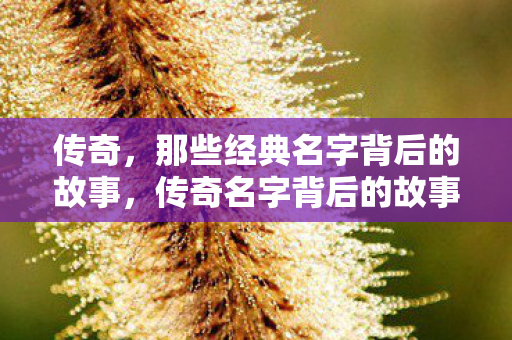 传奇，那些经典名字背后的故事，传奇名字背后的故事，揭秘经典名字的来龙去脉