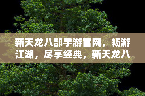 新天龙八部手游官网图片