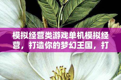 模拟经营类游戏单机模拟经营，打造你的梦幻王国，打造梦幻王国，单机模拟经营游戏