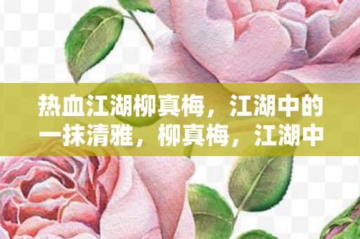 热血江湖柳真梅，江湖中的一抹清雅，柳真梅，江湖中的一抹清雅