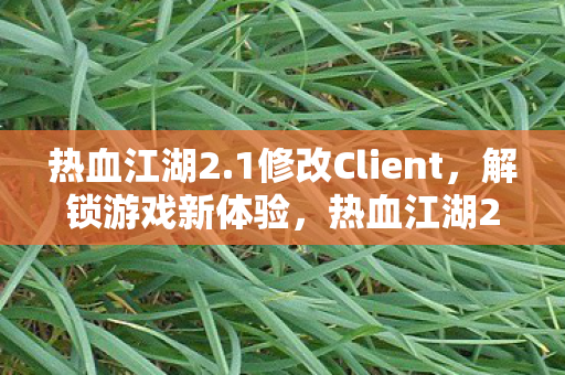 热血江湖2.1修改Client,解锁游戏新体验,热血江湖2.1修改Client解锁游戏新体验 热血江湖2.1修改Client,解锁游戏新体验,热血江湖2.1修改Client解锁游戏新体验
