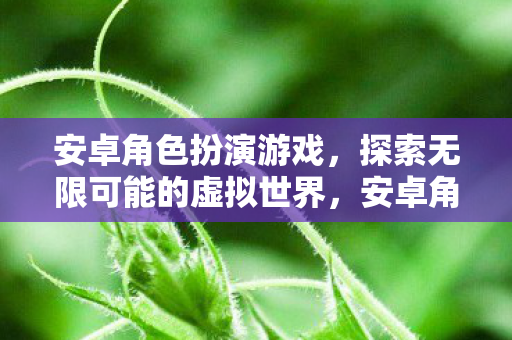 安卓角色扮演游戏，探索无限可能的虚拟世界，安卓角色扮演游戏，探索虚拟世界的无限可能