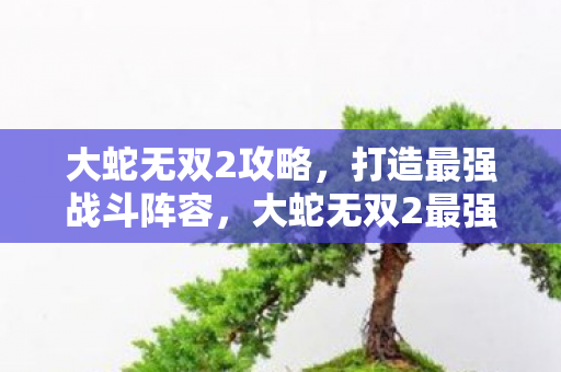 大蛇无双2攻略，打造最强战斗阵容，大蛇无双2最强战斗阵容打造攻略