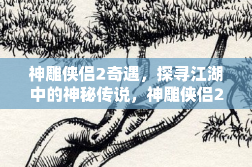 神雕侠侣2奇遇，探寻江湖中的神秘传说，神雕侠侣2奇遇，揭秘江湖神秘传说