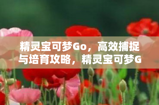 精灵宝可梦Go，高效捕捉与培育攻略，精灵宝可梦Go高效捕捉与培育攻略