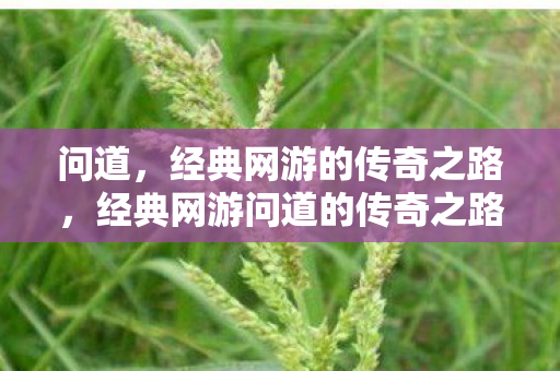 经典网游问道的传奇之路图片