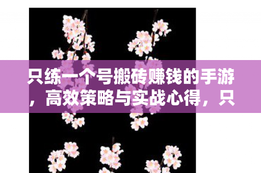 只练一个号搬砖赚钱的手游，高效策略与实战心得，只练一个号搬砖赚钱的手游，高效策略与实战心得