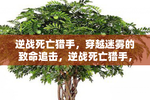 逆战死亡猎手,穿越迷雾的致命追击,逆战死亡猎手,迷雾中的致命追击 逆战死亡猎手,穿越迷雾的致命追击,逆战死亡猎手,迷雾中的致命追击
