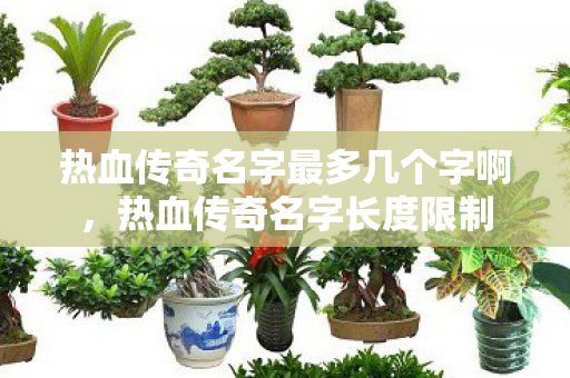 热血传奇名字最多几个字啊，热血传奇名字长度限制