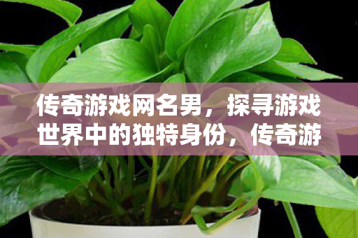 传奇游戏网名男,探寻游戏世界中的独特身份,传奇游戏网名男,探寻虚拟世界中的独特身份 传奇游戏网名男,探寻游戏世界中的独特身份,传奇游戏网名男,探寻虚拟世界中的独特身份