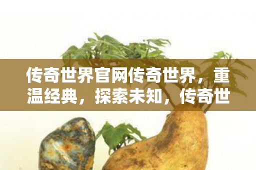 传奇世界官网传奇世界图片
