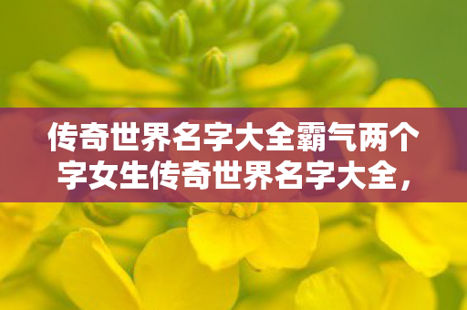 传奇世界名字大全霸气两个字女生传奇世界名字大全图片