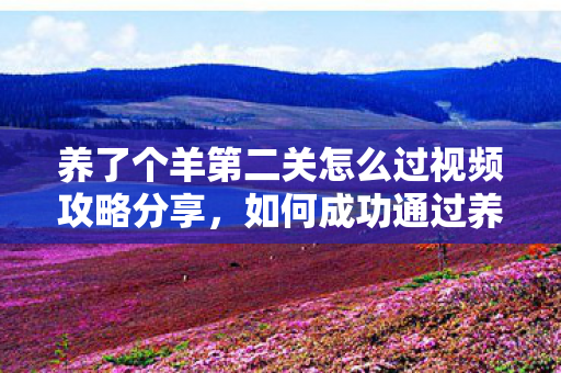 养了个羊第二关怎么过视频攻略分享，如何成功通过养了个羊第二关，养了个羊第二关攻略，视频教程助你轻松通关