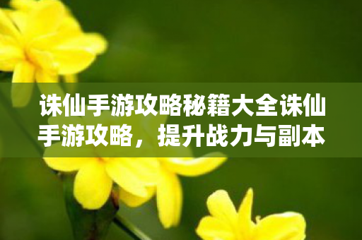 诛仙手游攻略秘籍大全诛仙手游攻略，提升战力与副本攻略，诛仙手游战力提升与副本攻略秘籍