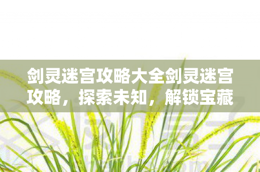 剑灵迷宫攻略大全剑灵迷宫攻略，探索未知，解锁宝藏，解锁宝藏之旅，剑灵迷宫全面攻略