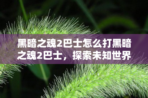 黑暗之魂2巴士怎么打黑暗之魂2巴士，探索未知世界的深度指南，黑暗之魂2巴士攻略，探索未知世界的深度指南