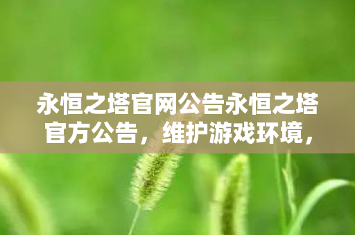 永恒之塔官网公告永恒之塔官方公告，维护游戏环境，共筑安全堡垒，永恒之塔官方公告，维护游戏环境，共筑安全堡垒