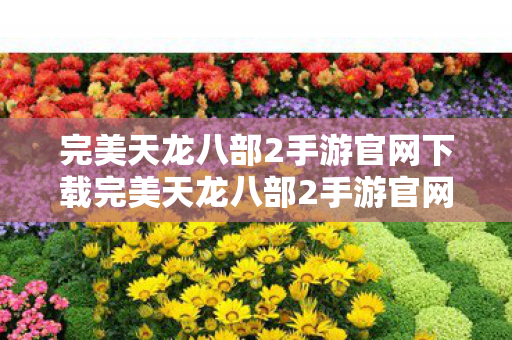 完美天龙八部2手游官网下载完美天龙八部2手游官网，畅游武侠世界的全新体验，完美天龙八部2手游官网下载，开启武侠世界之旅