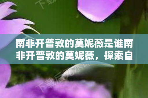南非开普敦的莫妮薇是谁南非开普敦的莫妮薇,探索自然与文化的交汇点,南非开普敦的莫妮薇,探索自然与文化的交汇点 南非开普敦的莫妮薇是谁南非开普敦的莫妮薇,探索自然与文化的交汇点,南非开普敦的莫妮薇,探索自然与文化的交汇点