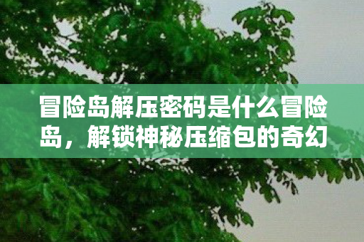 冒险岛解压密码是什么冒险岛，解锁神秘压缩包的奇幻之旅，冒险岛，解锁神秘压缩包的奇幻之旅