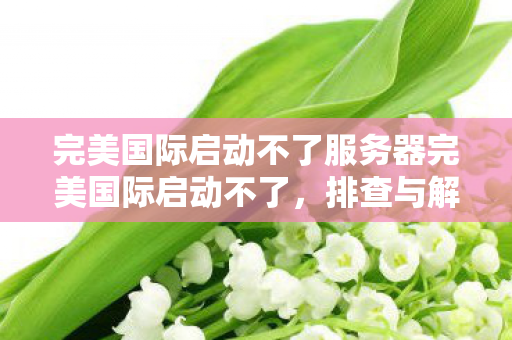 完美国际启动不了服务器完美国际启动不了,排查与解决指南,完美国际服务器启动故障排查与解决指南 完美国际启动不了服务器完美国际启动不了,排查与解决指南,完美国际服务器启动故障排查与解决指南