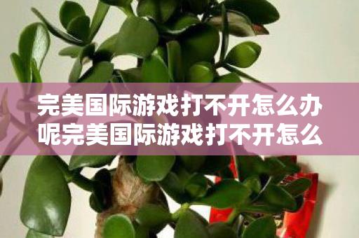 完美国际游戏打不开怎么办呢完美国际游戏打不开怎么办,完美国际游戏打不开怎么办?解决方法全解析 完美国际游戏打不开怎么办呢完美国际游戏打不开怎么办,完美国际游戏打不开怎么办?解决方法全解析