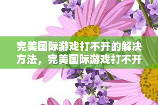完美国际游戏打不开的解决方法图片