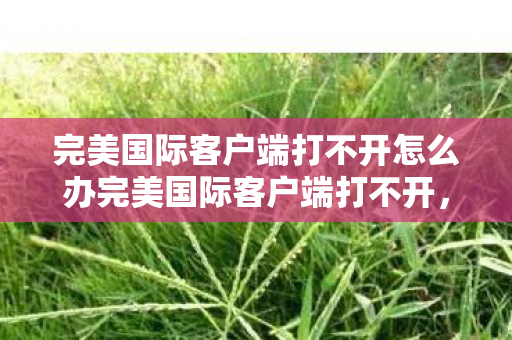 完美国际客户端打不开怎么办完美国际客户端打不开，解决之道与常见问题分析，完美国际客户端打不开的解决之道与常见问题分析