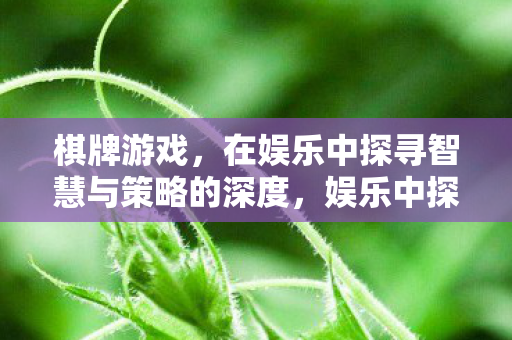 在娱乐中探寻智慧与策略的深度图片