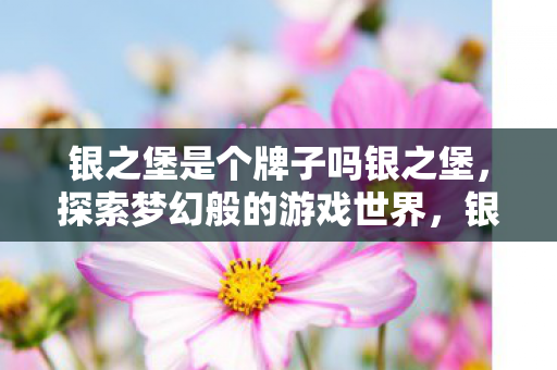 银之堡是个牌子吗银之堡，探索梦幻般的游戏世界，银之堡，探索梦幻游戏世界的奇妙之旅