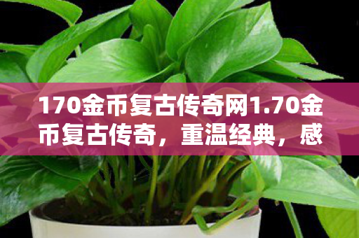 170金币复古传奇网1.70金币复古传奇，重温经典，感受传奇的魅力，70金币复古传奇，重温经典，感受传奇魅力