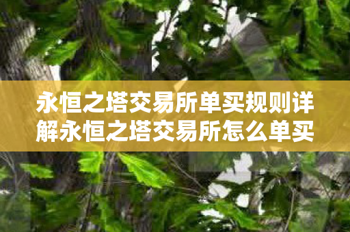 永恒之塔交易所单买规则详解永恒之塔交易所怎么单买图片