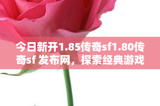 今日新开1.85传奇sf1.80传奇sf 发布网，探索经典游戏的魅力，今日新开1.85/1.80传奇sf发布网，重温经典游戏魅力