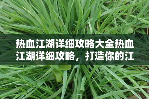 热血江湖详细攻略大全热血江湖详细攻略，打造你的江湖传奇，热血江湖，打造你的江湖传奇攻略大全