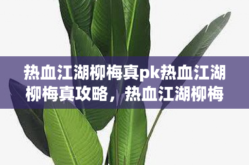 热血江湖柳梅真pk热血江湖柳梅真攻略，热血江湖柳梅真PK技巧与攻略