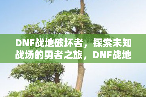 DNF战地破坏者，探索未知战场的勇者之旅，DNF战地破坏者，探索未知战场的勇者冒险之旅