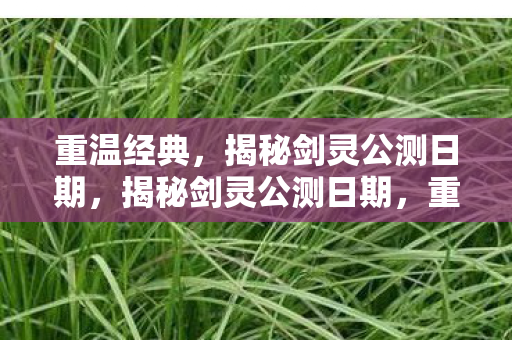 揭秘剑灵公测日期图片
