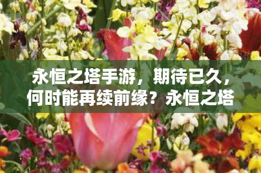 何时能再续前缘图片